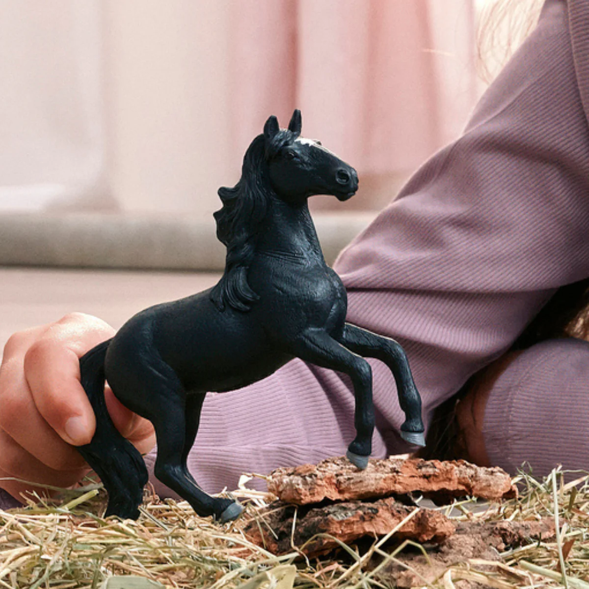 Lusitano Hengst - Image 2