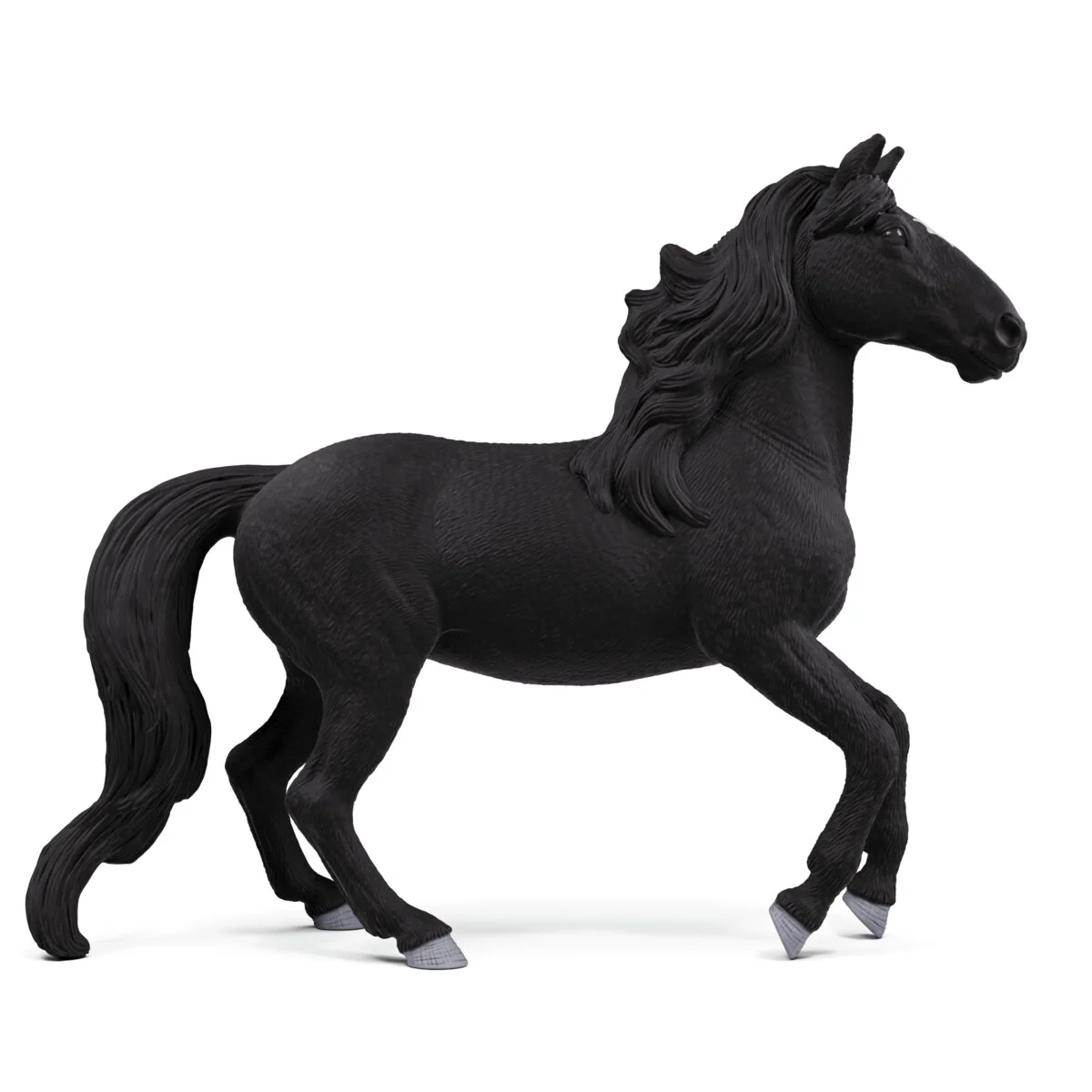 Lusitano Hengst - Image 3