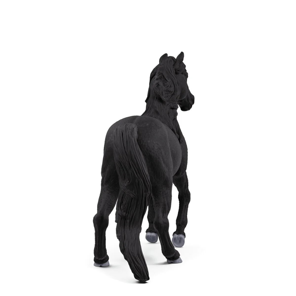 Lusitano Hengst - Image 4