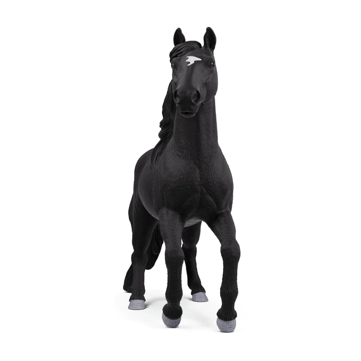 Lusitano Hengst - Image 5
