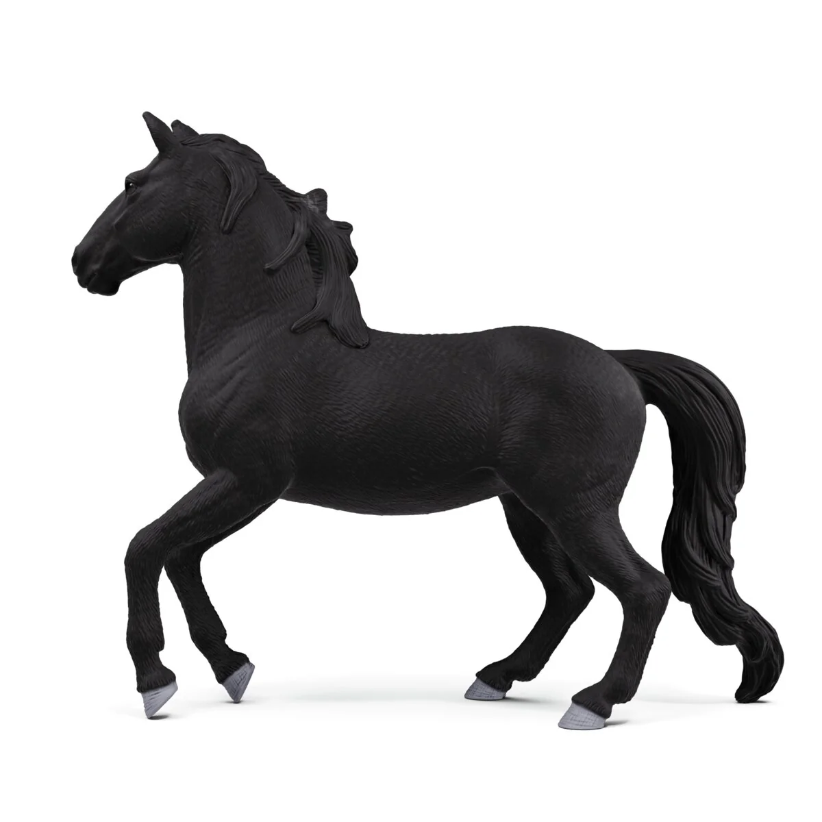 Lusitano Hengst - Image 6