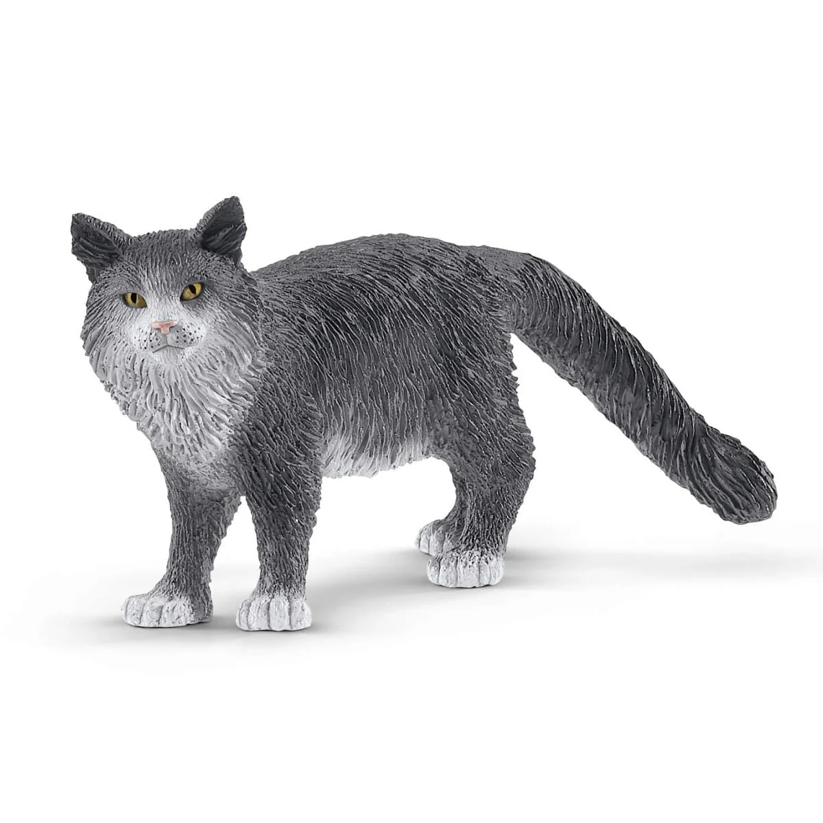 Maine-Coon-Katze