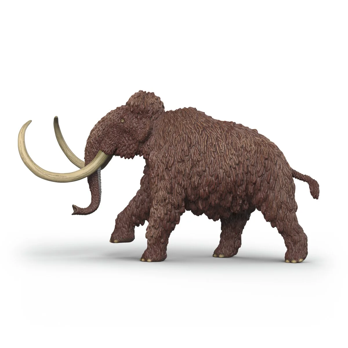 Mammut - Image 4