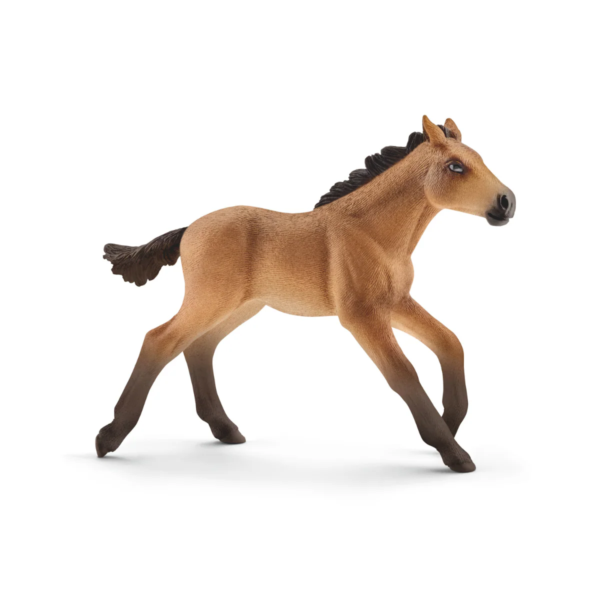 Mustang Fohlen (Bundle)