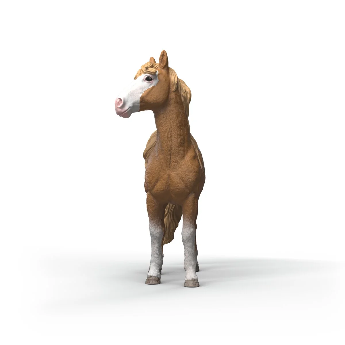 Mustang Stute - Image 3