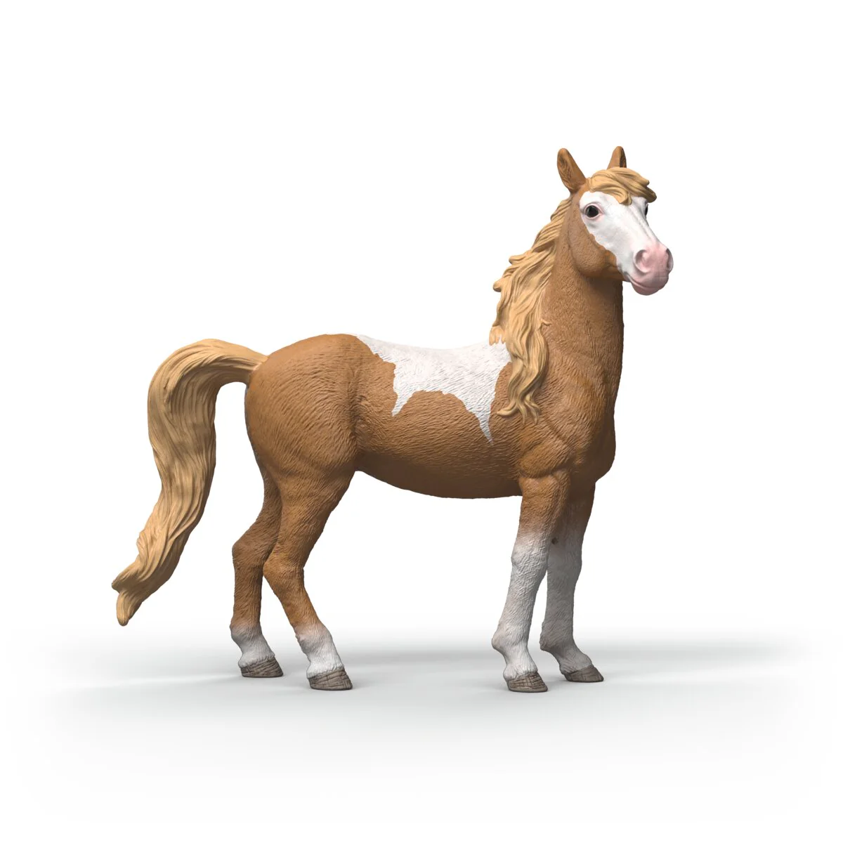 Mustang Stute - Image 4
