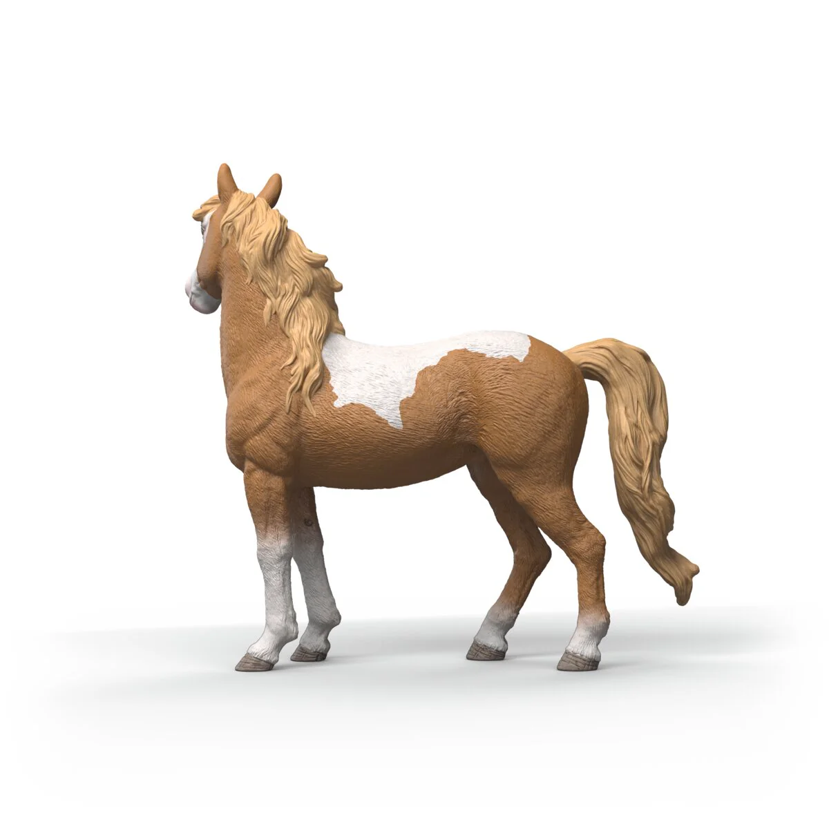 Mustang Stute - Image 5