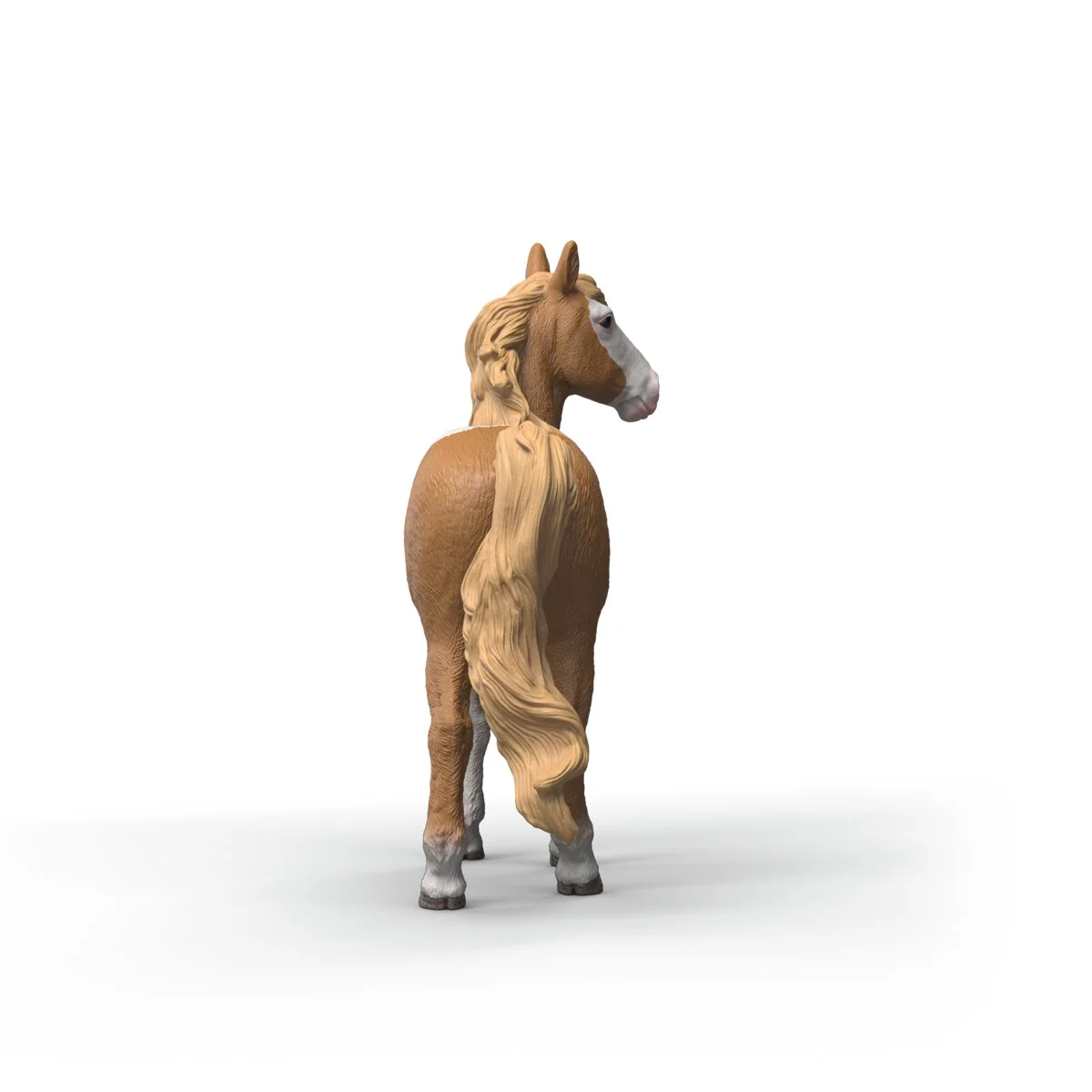 Mustang Stute - Image 6
