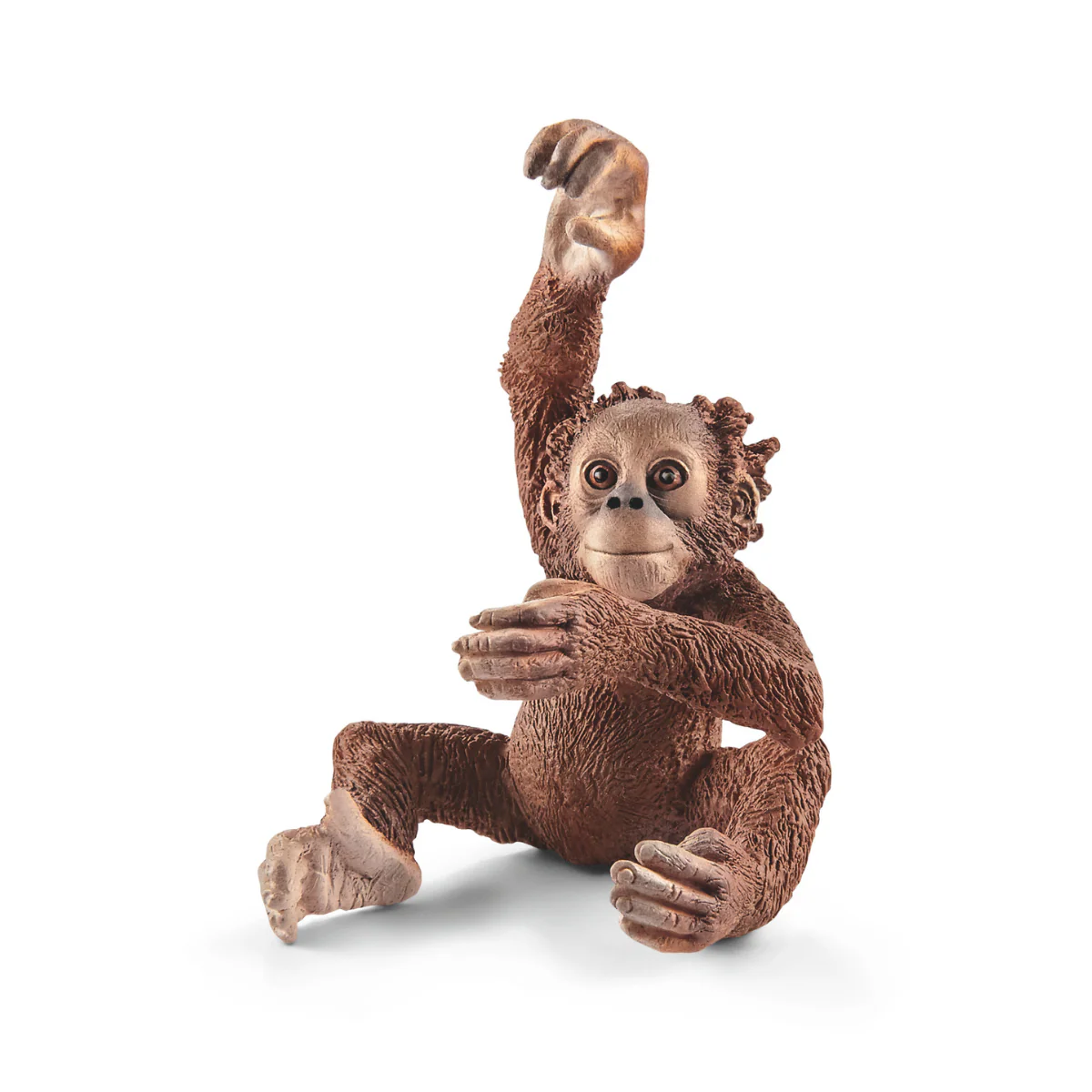 Orang-Utan Junges (Bundle)