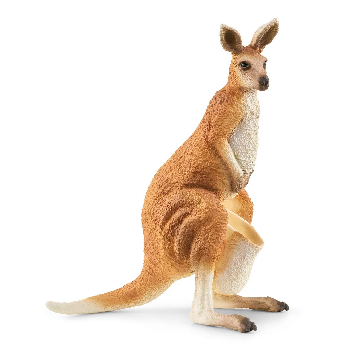 Outback Abenteuer - Image 5