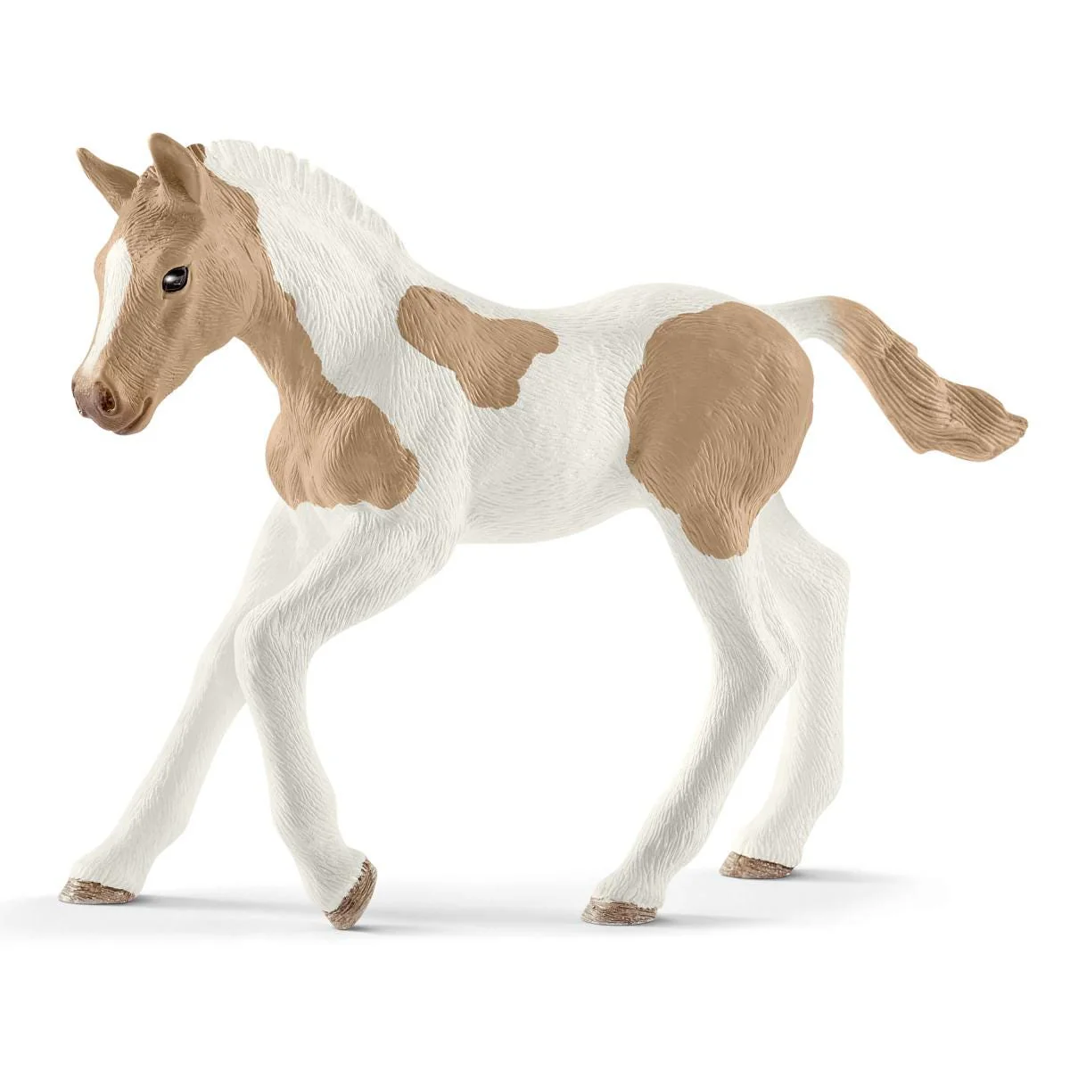 Paint Horse Fohlen