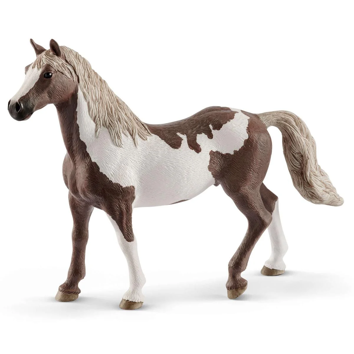 Paint Horse Wallach