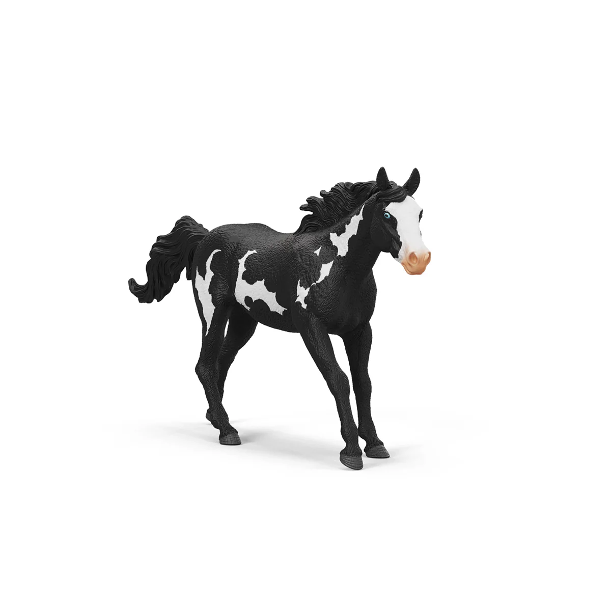 Paint Horse Wallach - Image 6