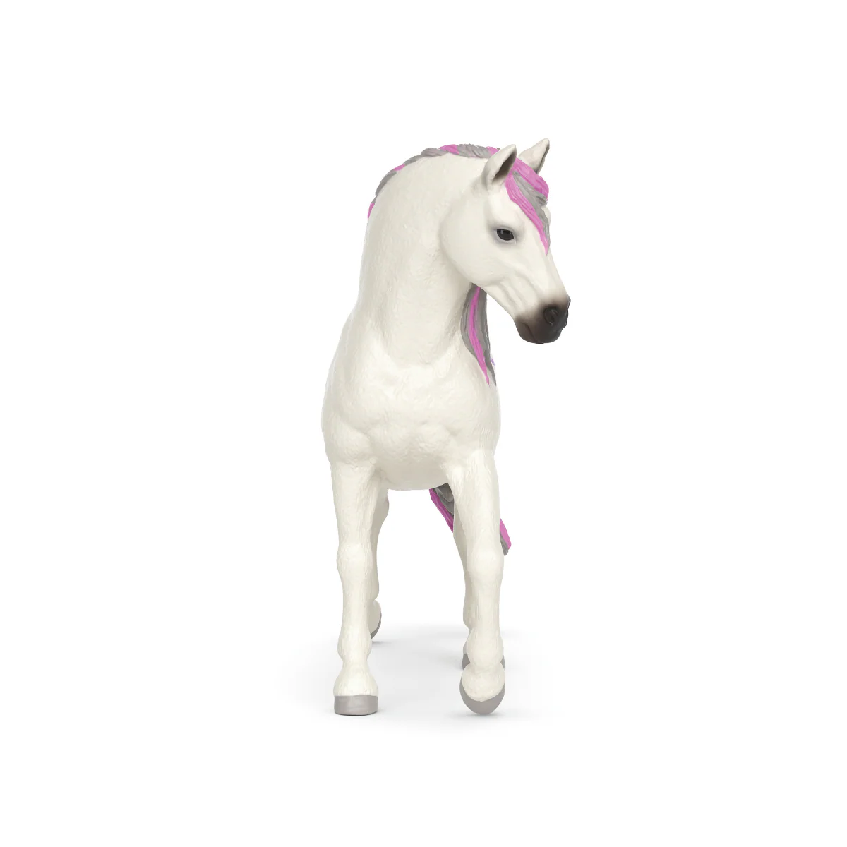 Paso Fino Hengst - LOVE Edition - Image 5