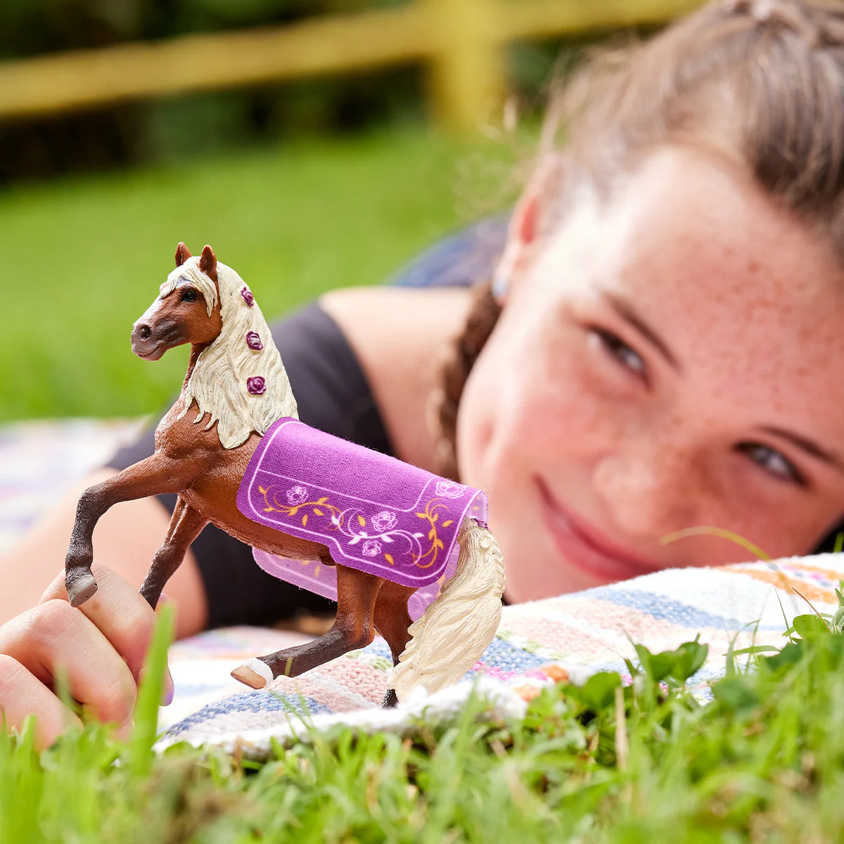 Paso Fino Hengst Pferdeshow - Image 2