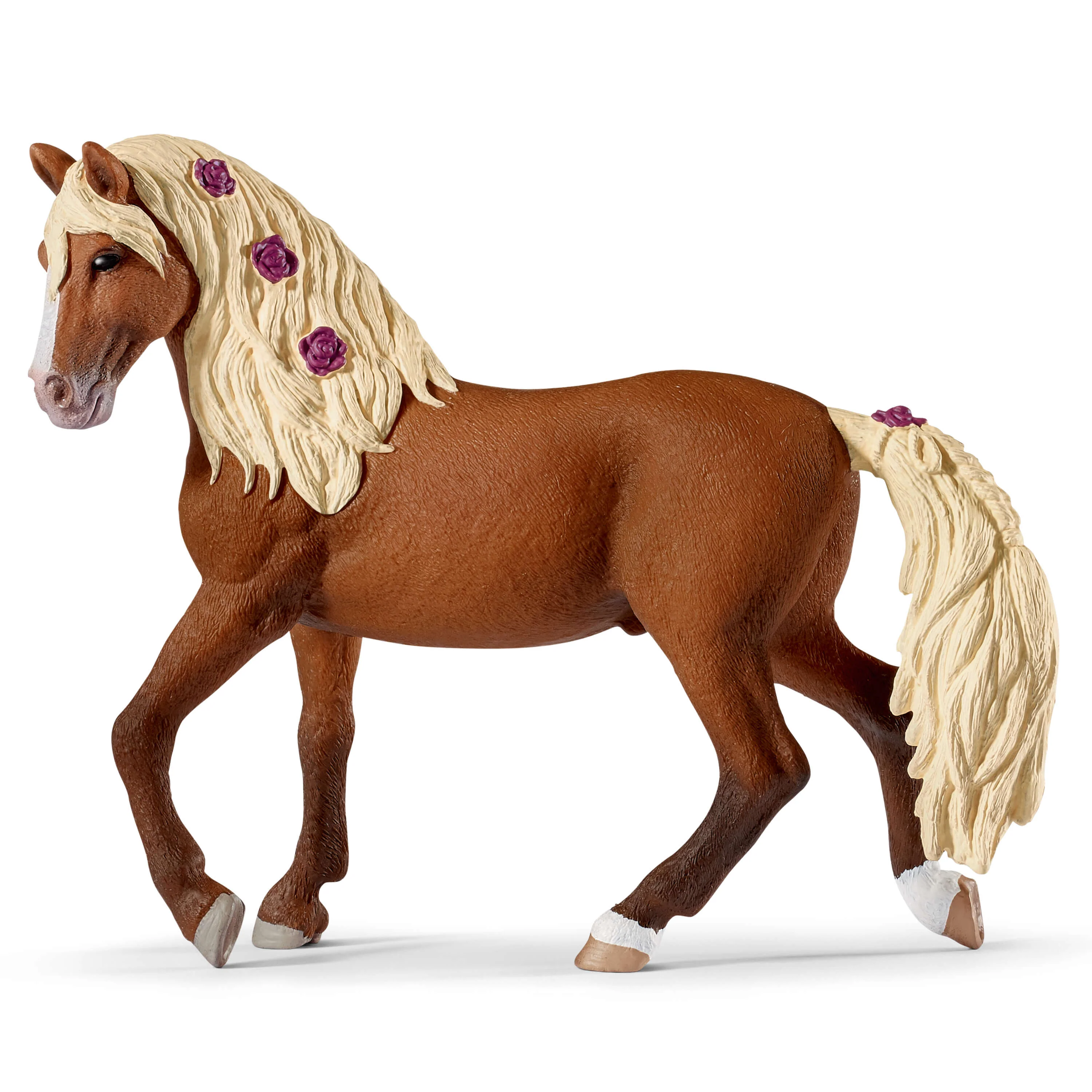 Paso Fino Hengst Pferdeshow - Image 3
