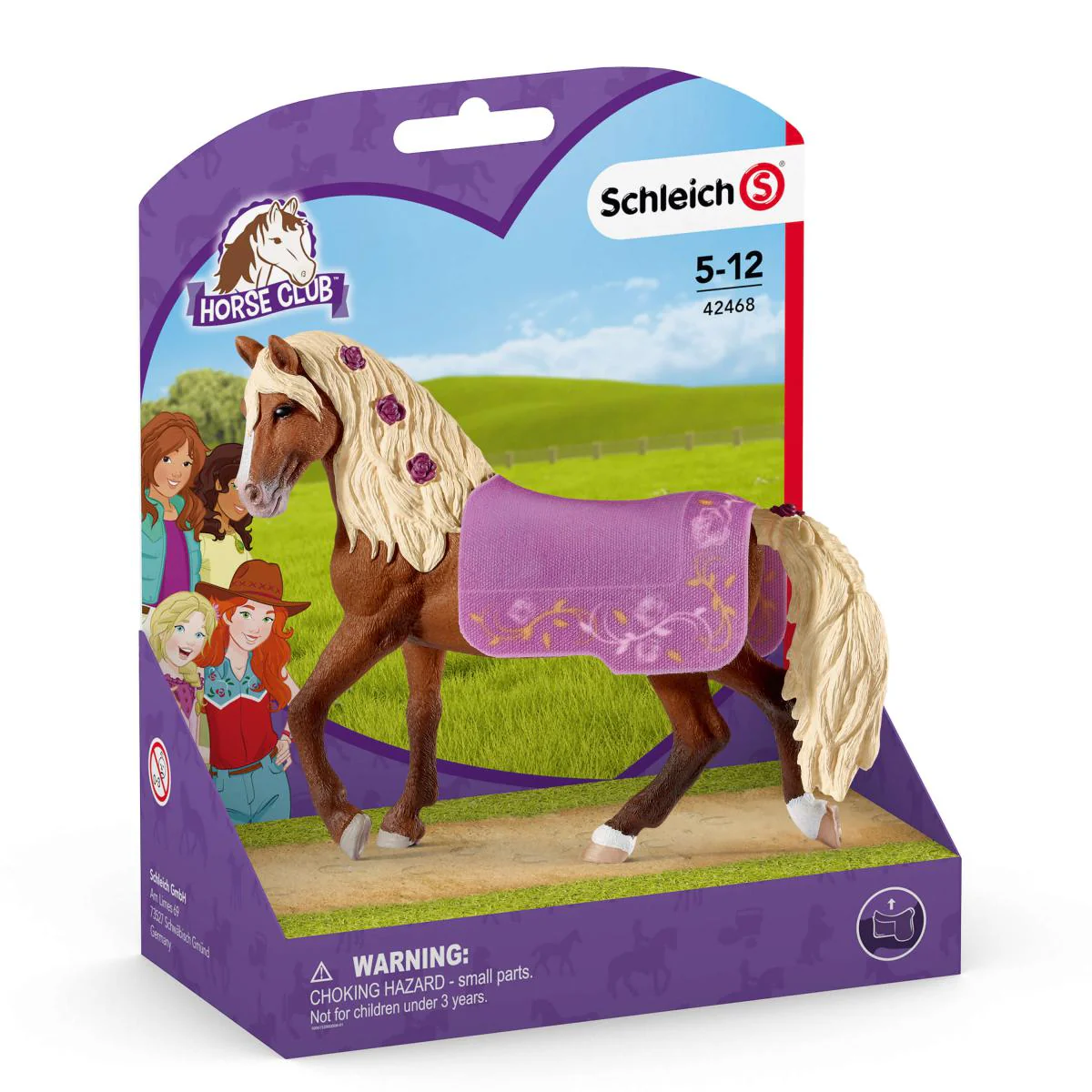 Paso Fino Hengst Pferdeshow - Image 4