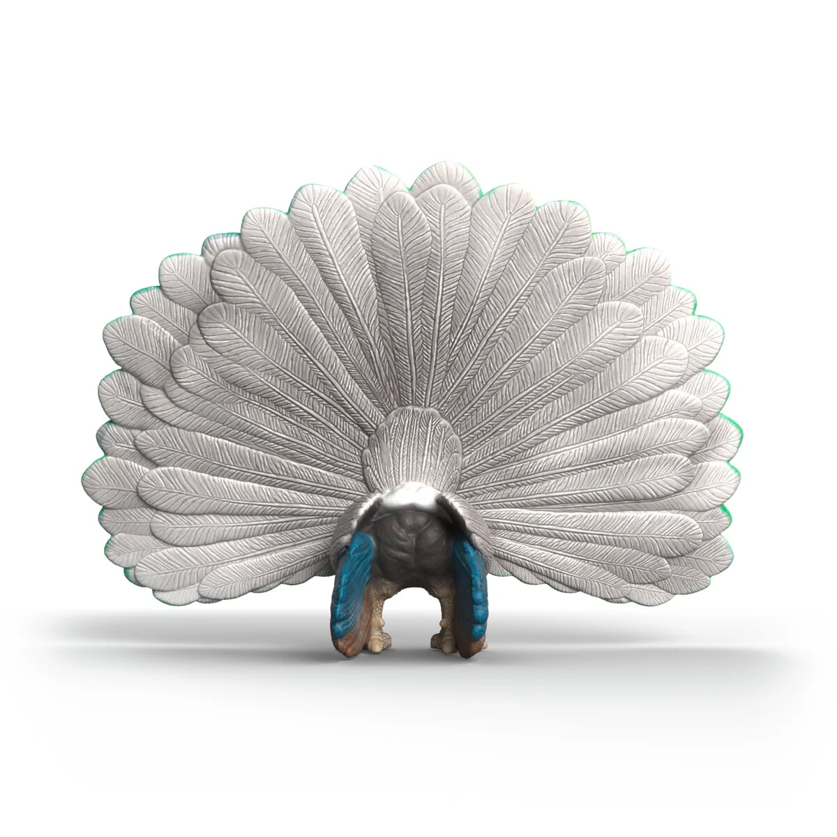 Pfau - Image 4