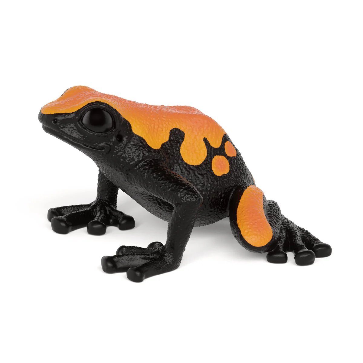 Pfeilgiftfrosch (bundle)