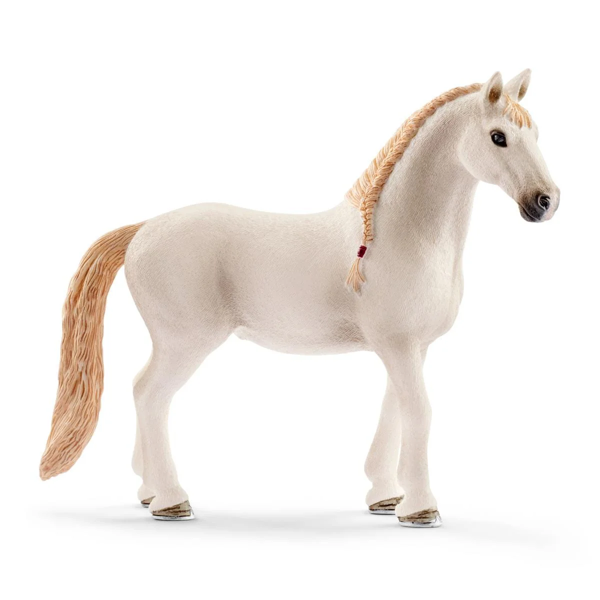 Pferdebox mit Lusitano Stute - Image 3
