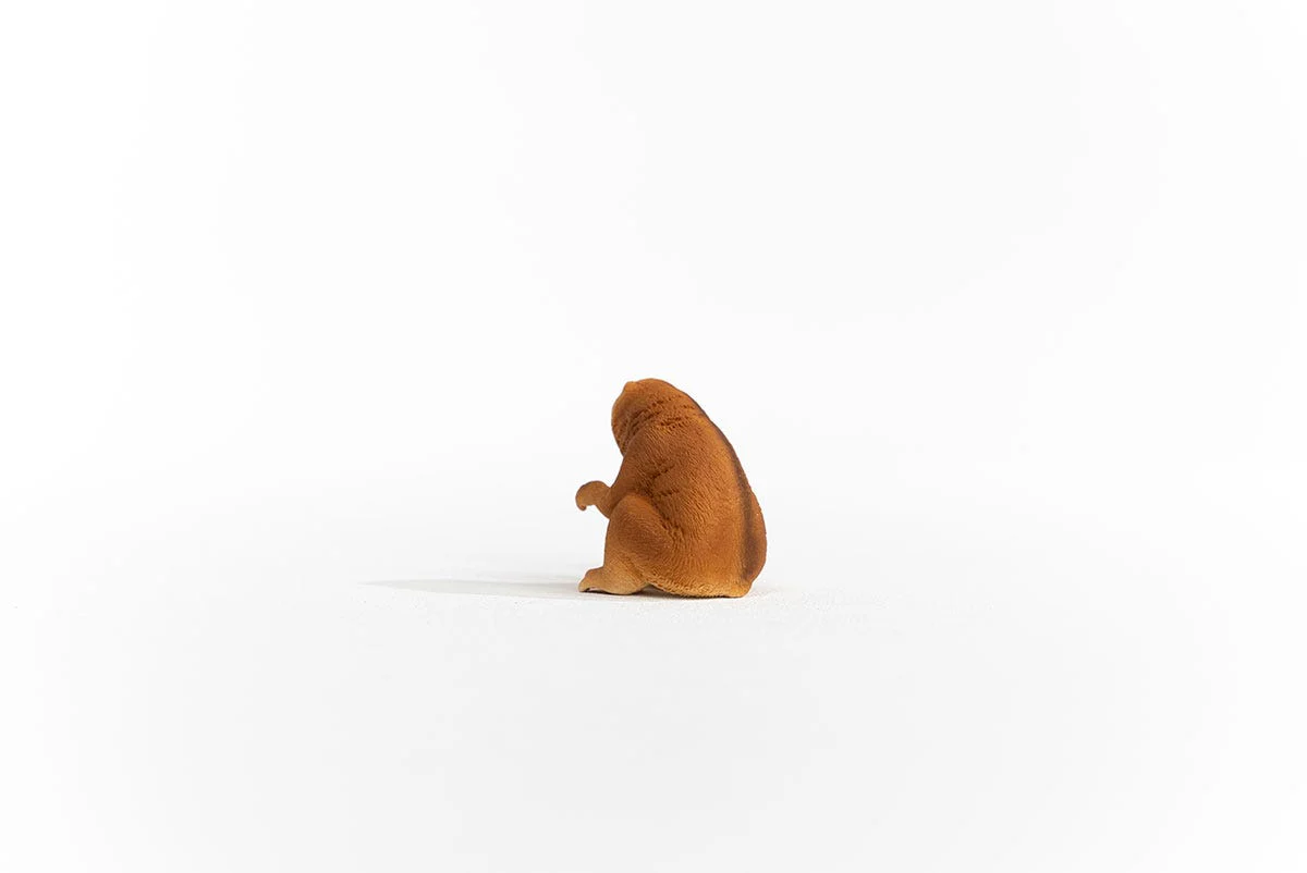 Plumplori - Image 4