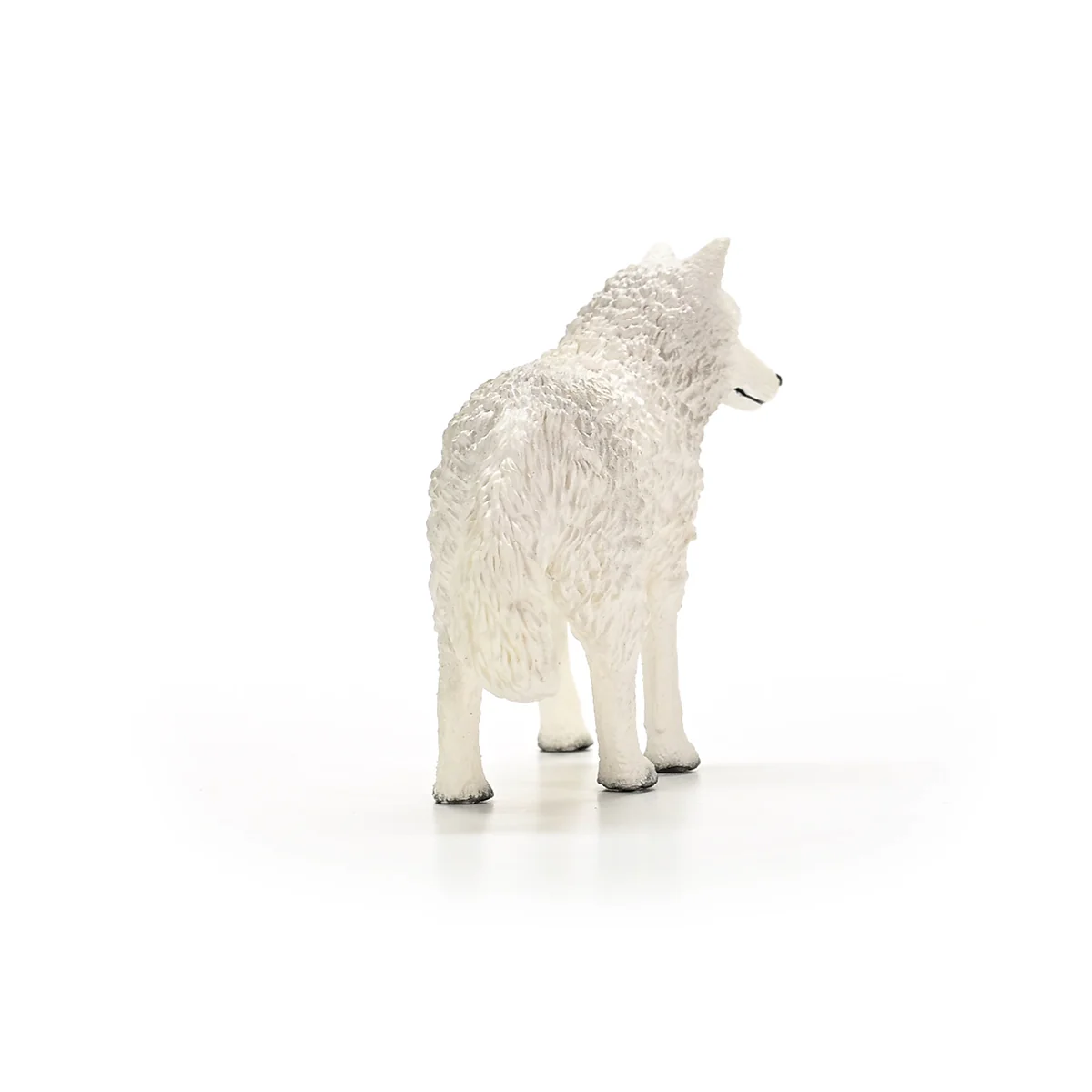 Polarwolf - Image 4