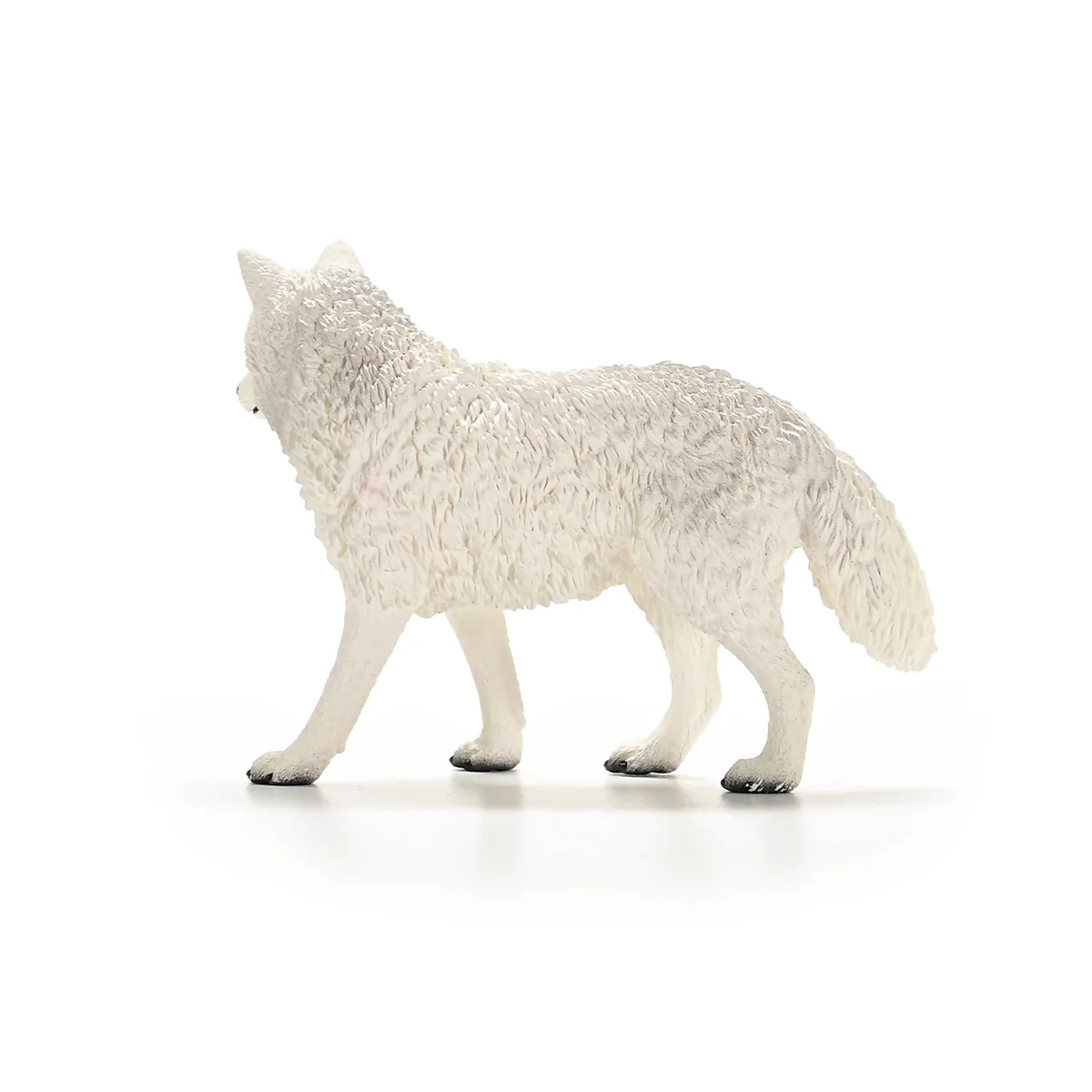 Polarwolf - Image 5