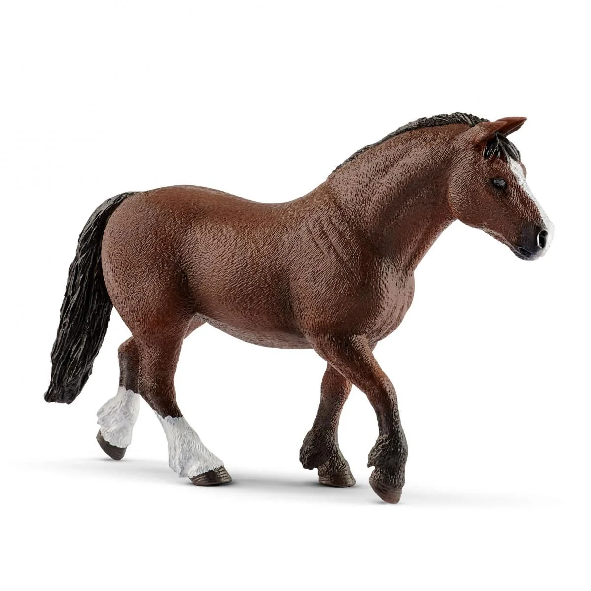 Pony Agility Rennen - Image 4