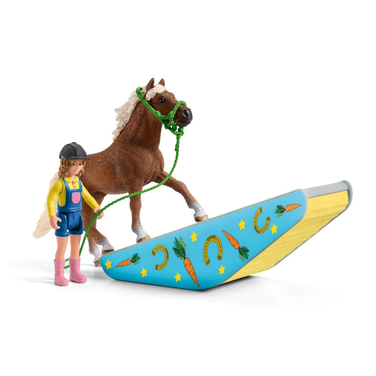 Pony Agility Training - Image 4