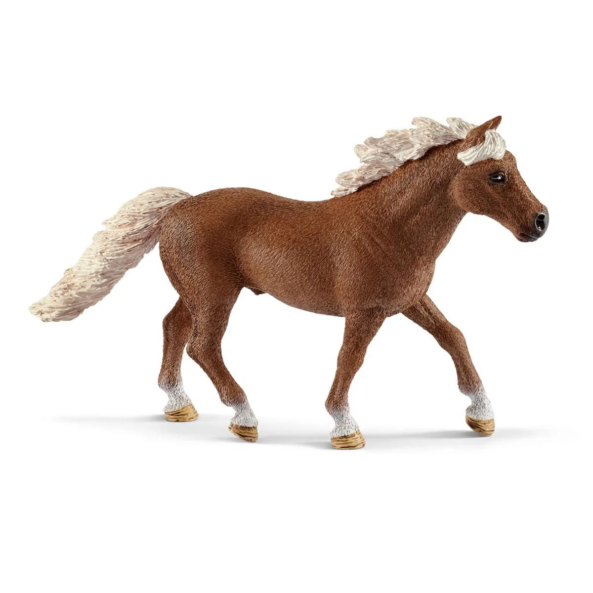 Pony Agility Training - Image 6