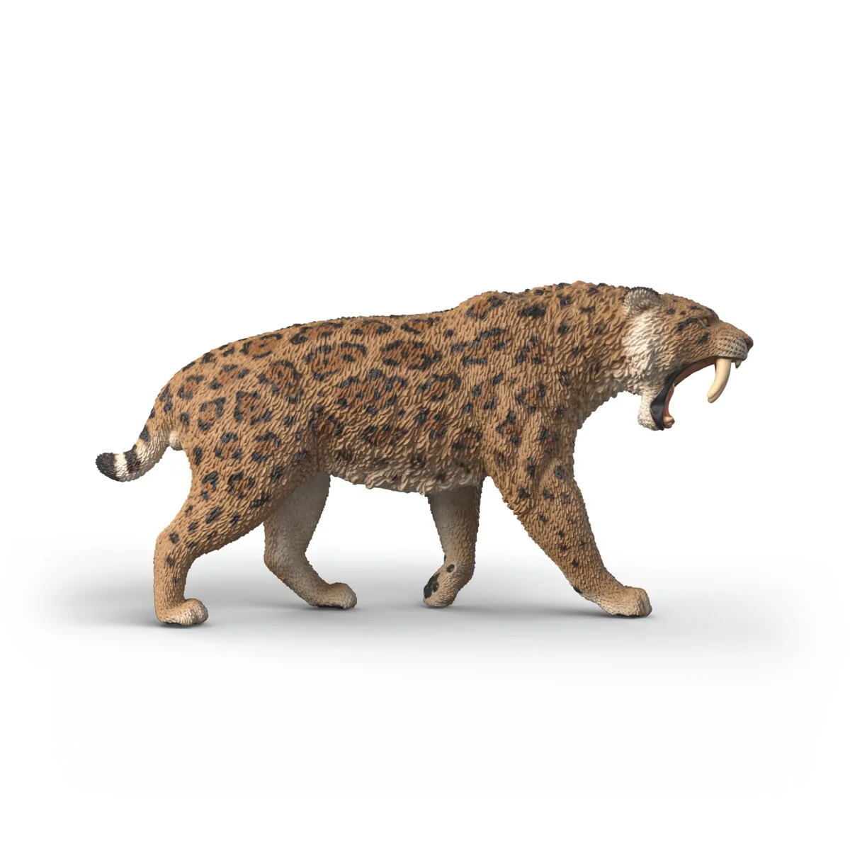 Säbelzahntiger - Image 3