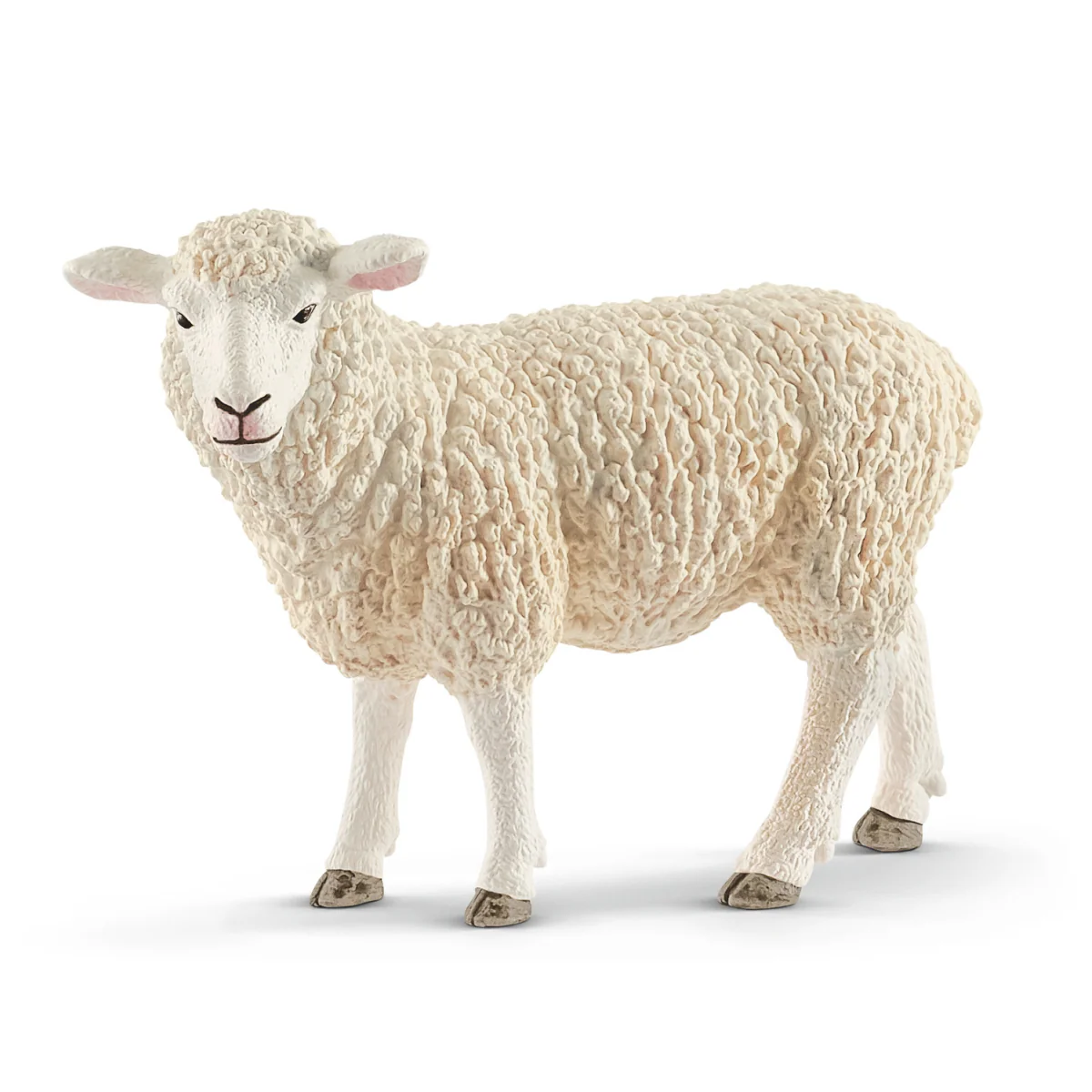 Schaf (Bundle)