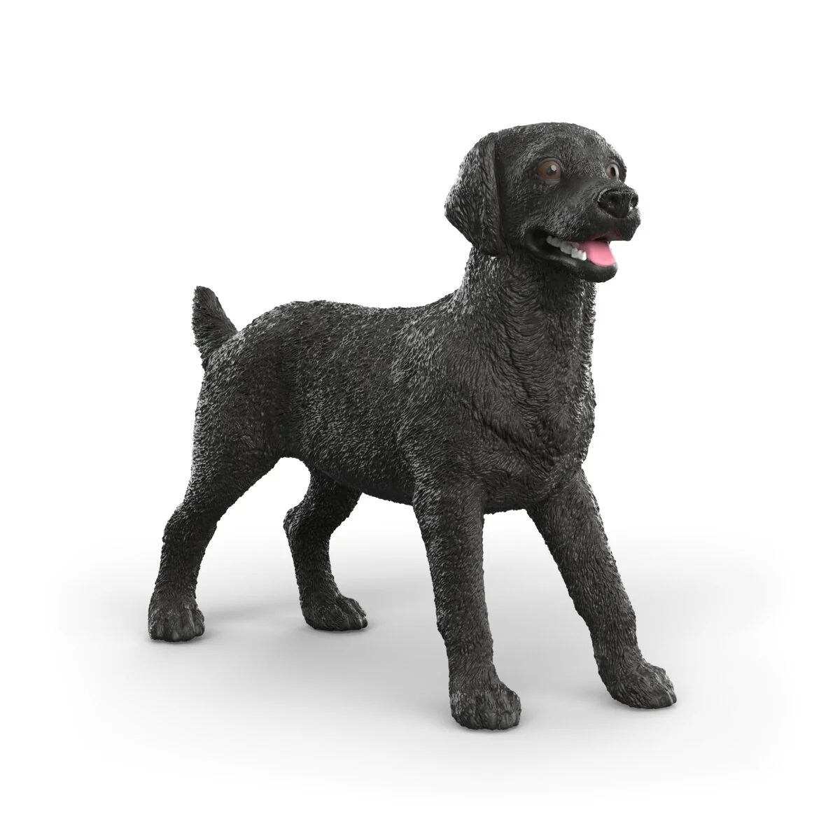 Schwarze Labrador Retriever Hündin
