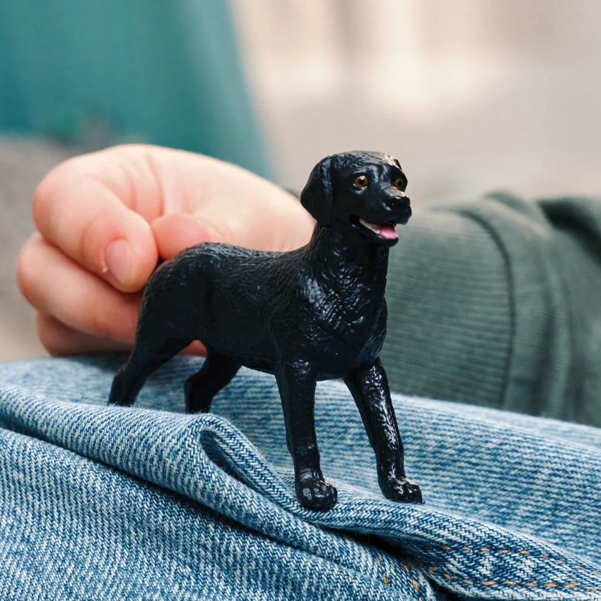 Schwarze Labrador Retriever Hündin - Image 2
