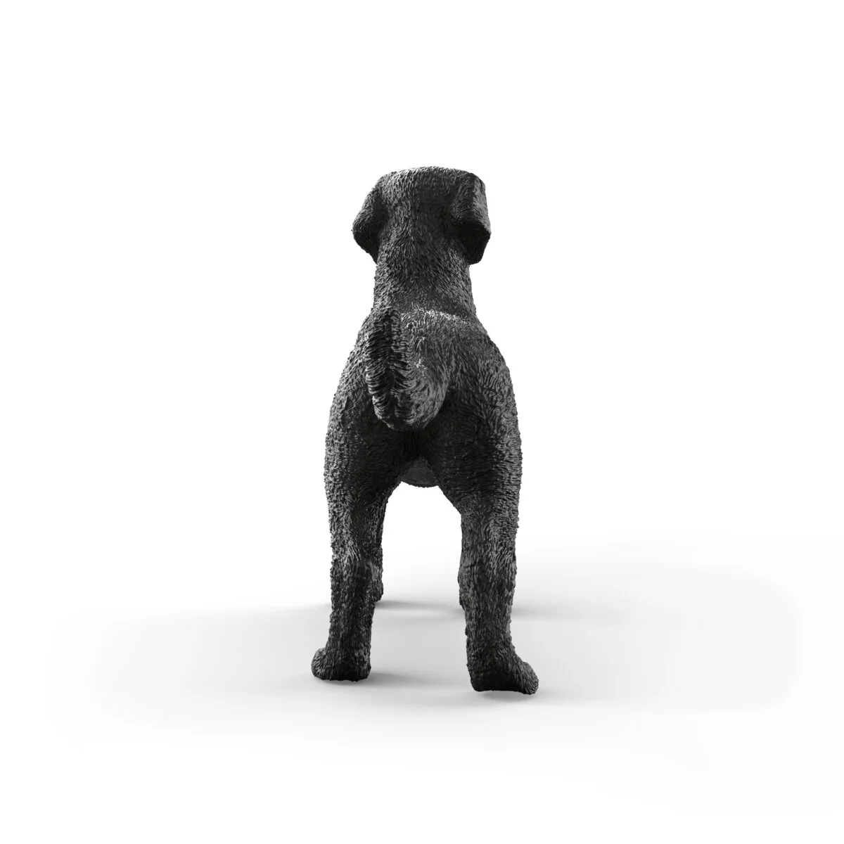 Schwarze Labrador Retriever Hündin - Image 6