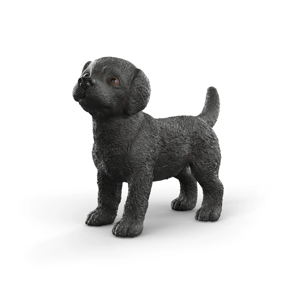 Schwarzer Labrador Retriever Welpe