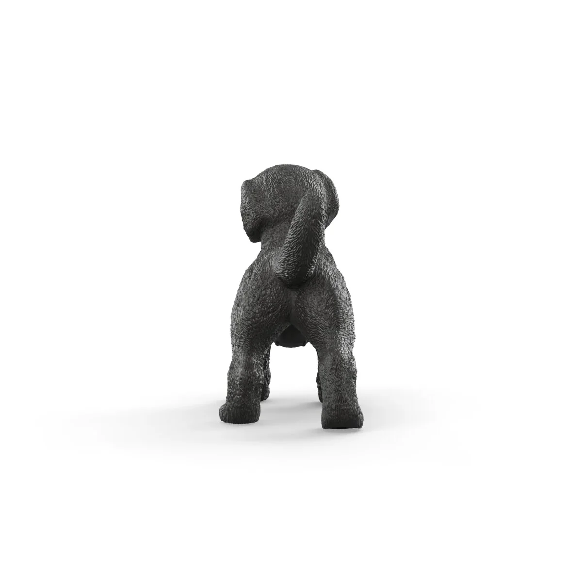 Schwarzer Labrador Retriever Welpe - Image 5