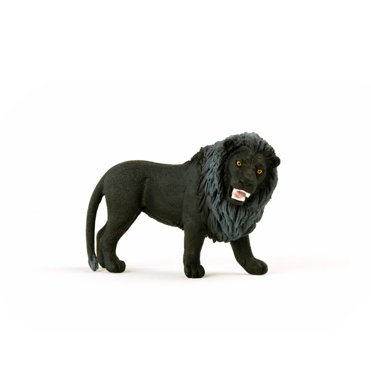 Schwarzer Löwe