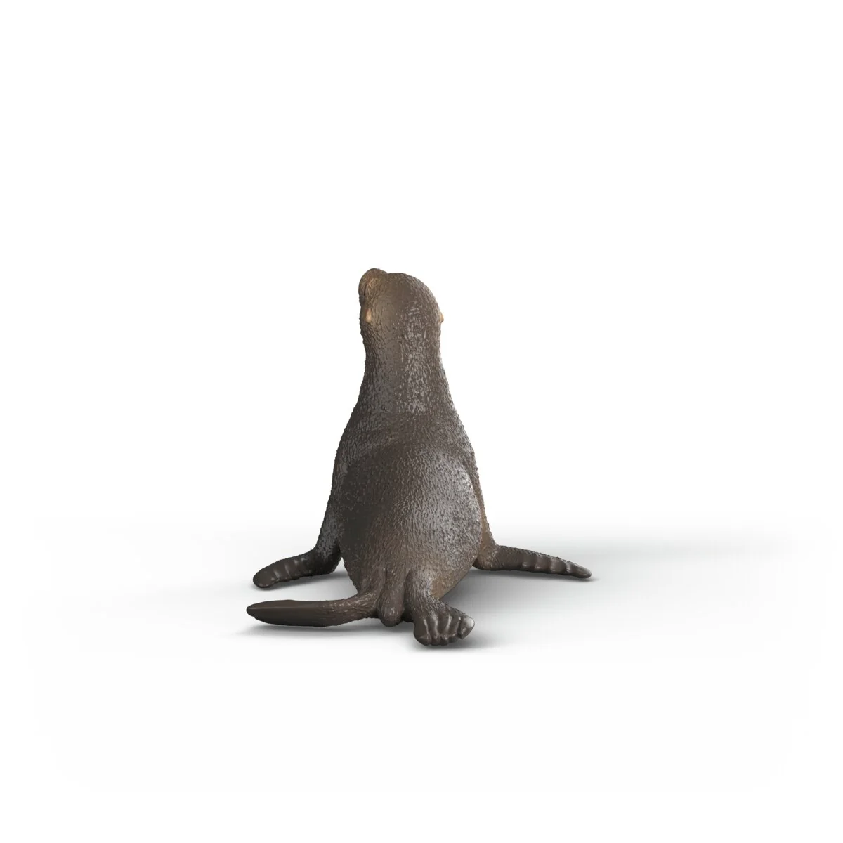 Seelöwe - Image 3