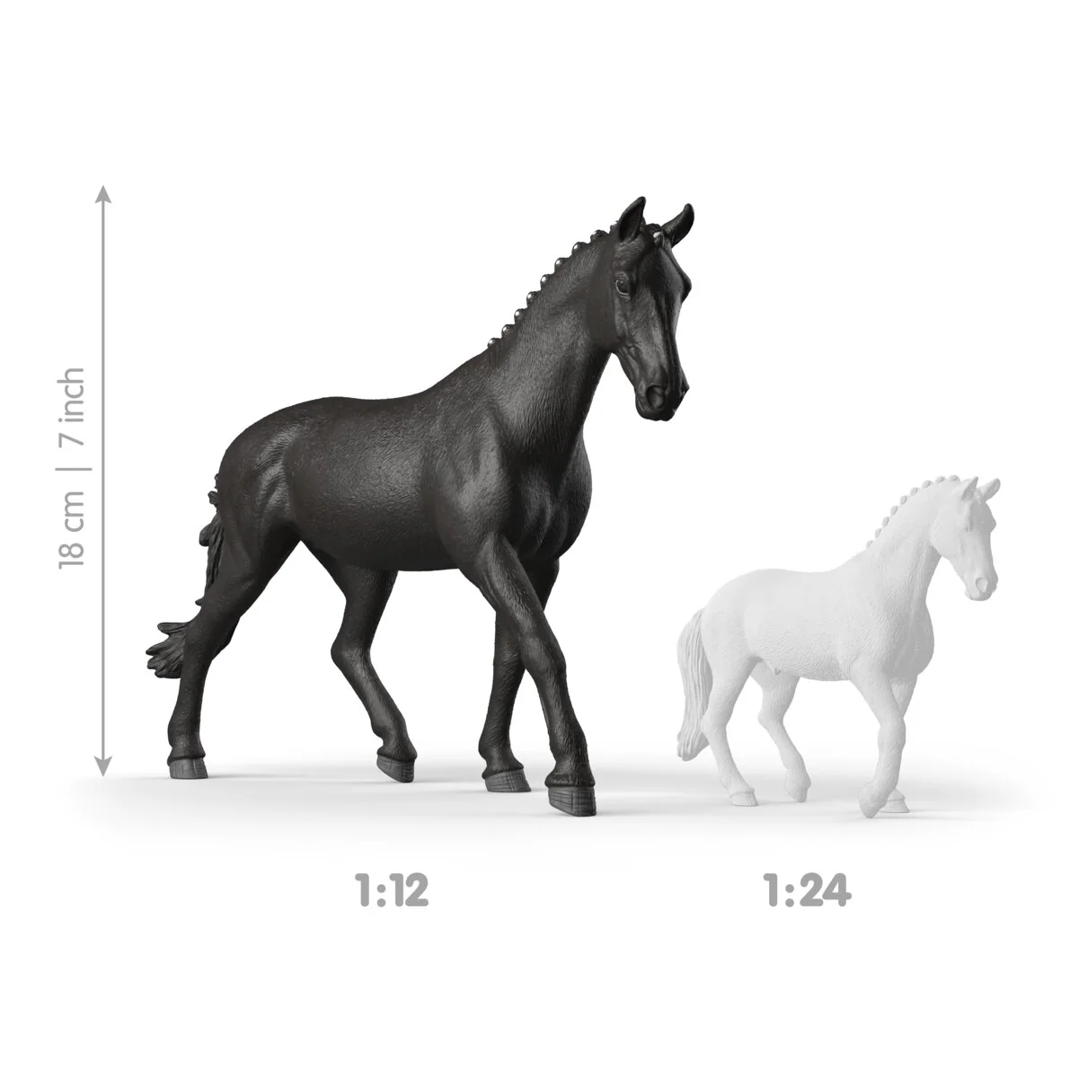 Sonata, Trakehner Stute 1:12 - Image 5
