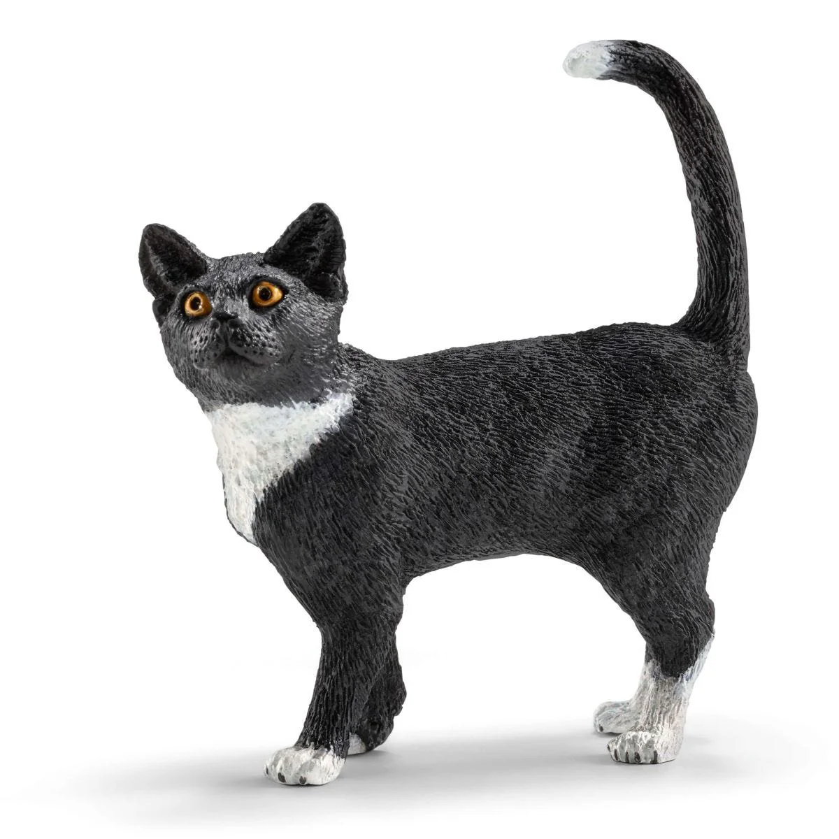 Spielspaß für niedliche Katzen - Image 5