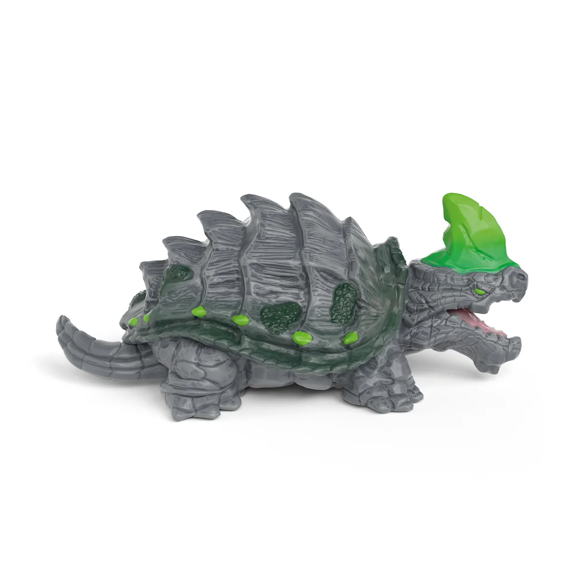 Steinschildkröte - Image 5