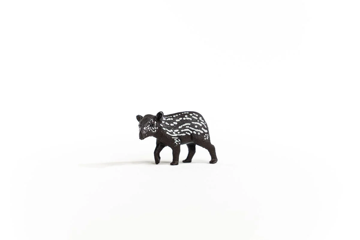 Tapir Junges - Image 2