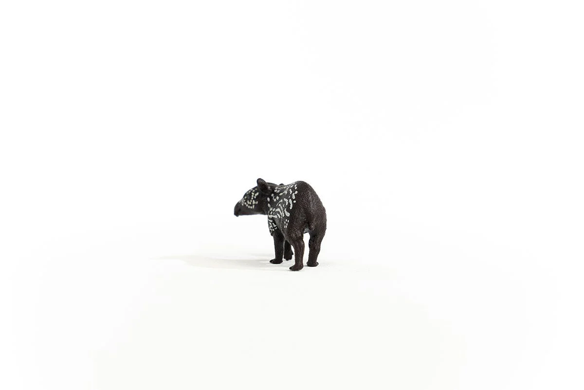 Tapir Junges - Image 3
