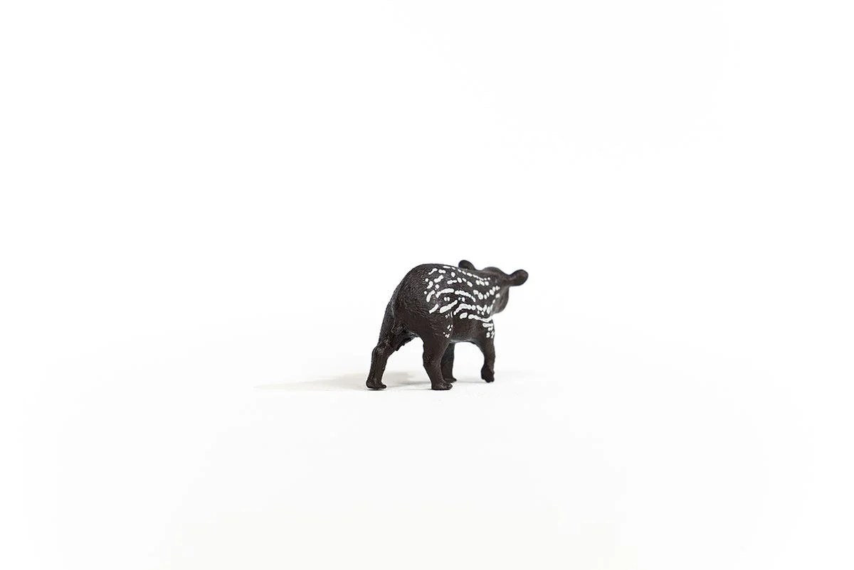 Tapir Junges - Image 4