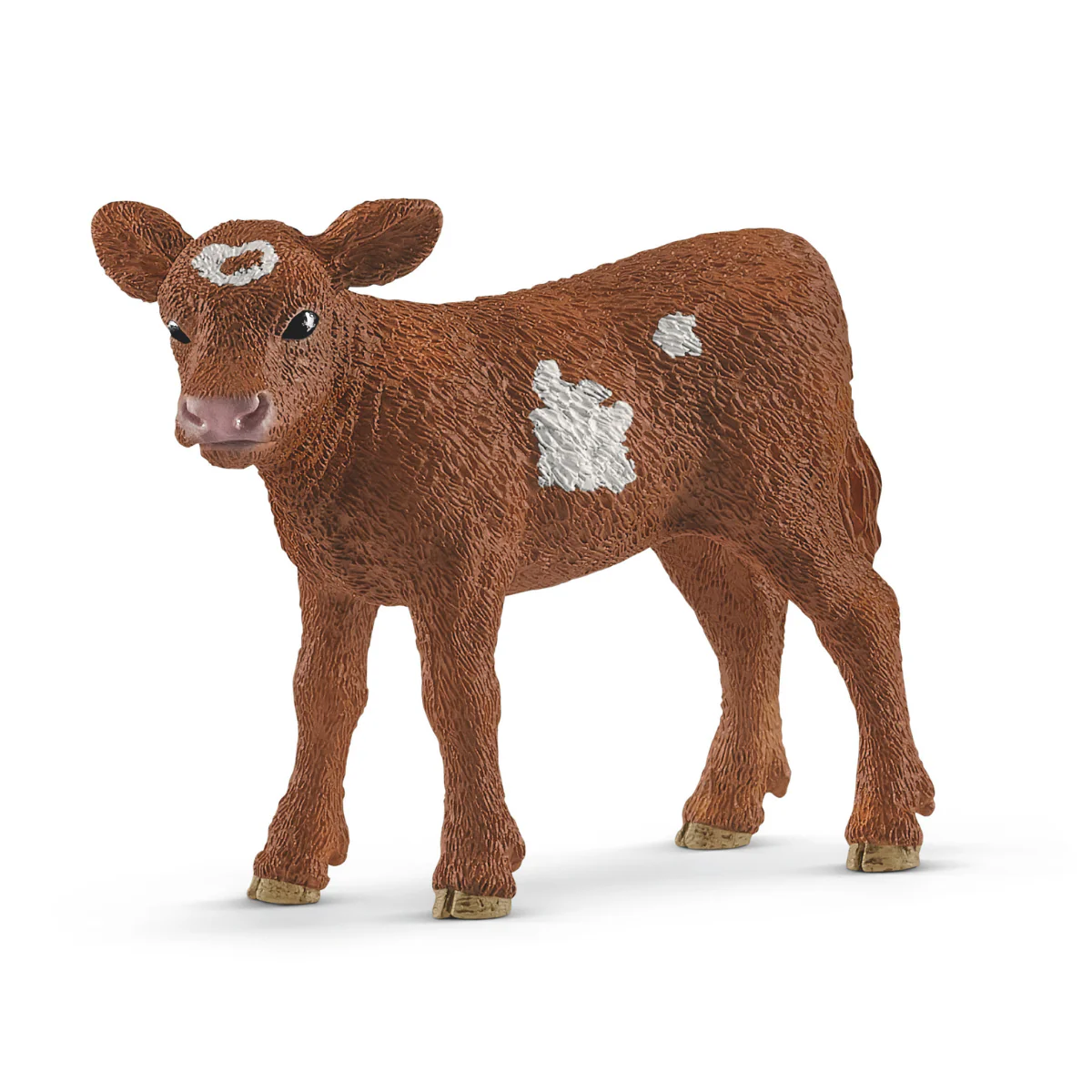 Texas Longhorn Kalb (Bundle)