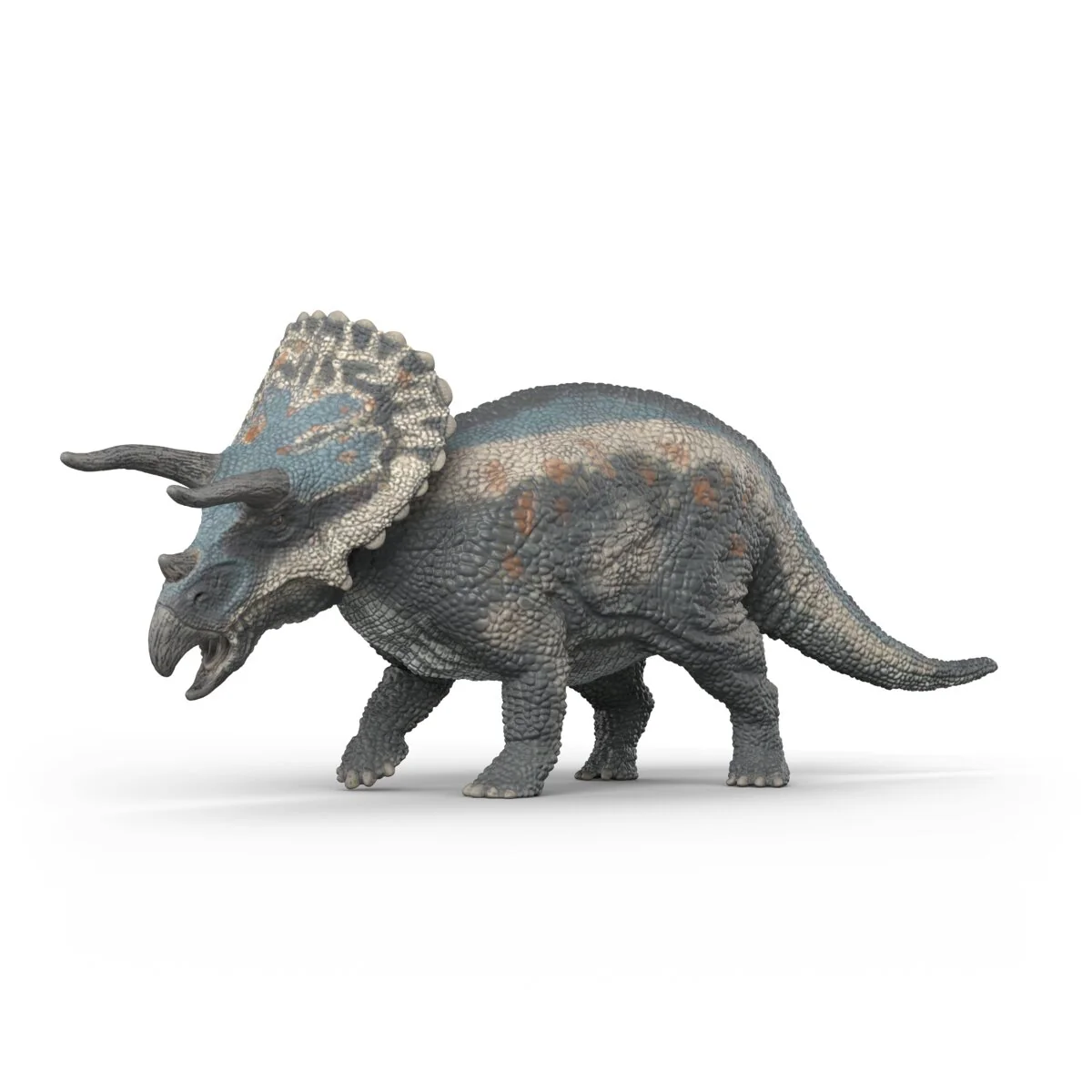 Triceratops - Image 7