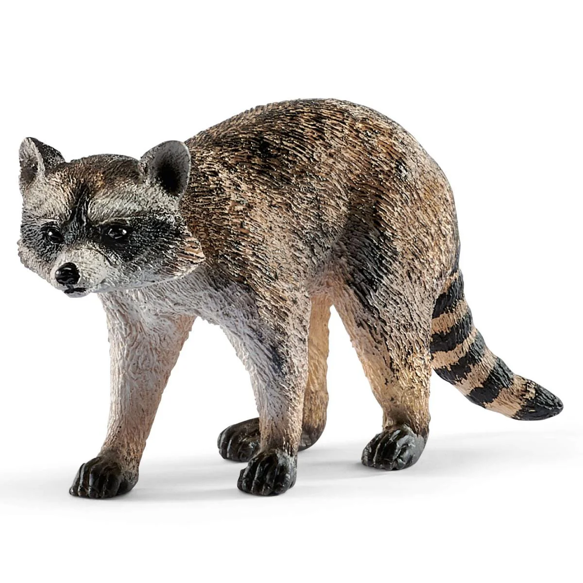 Waschbär (bundle)