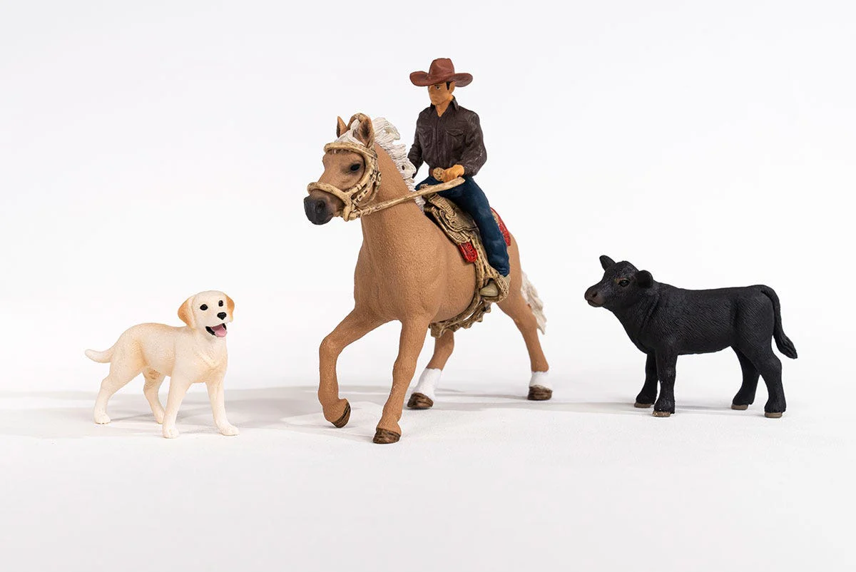 Westernreiten - Image 6