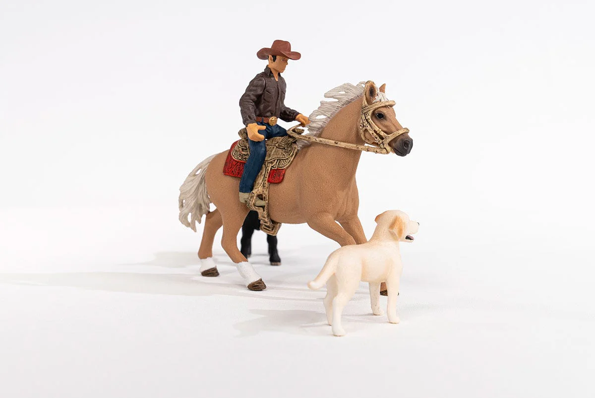 Westernreiten - Image 7